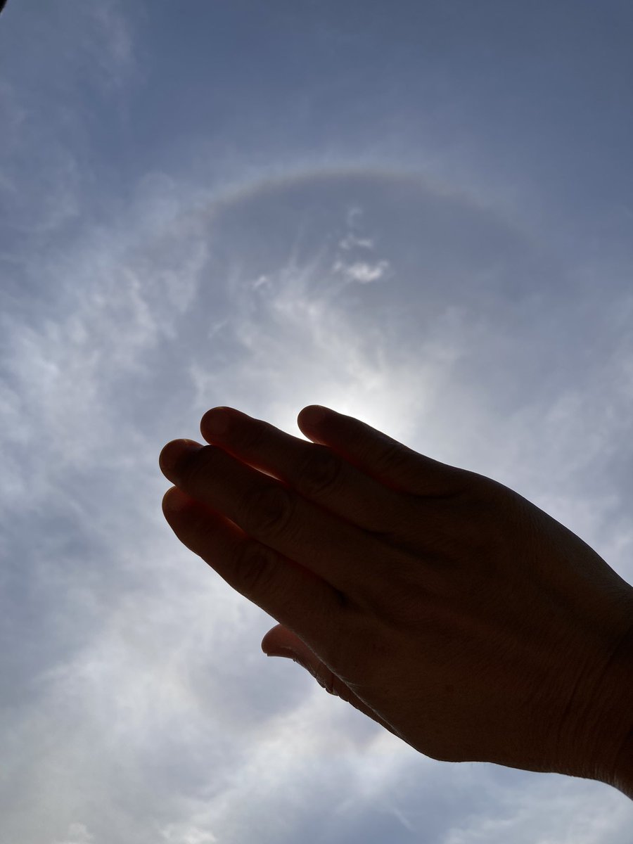 taecomw's tweet photo. 今日の彩雲とハロ。
#彩雲 #ハロ #glowingcloud
#天気の図鑑 https://t.co/chFqtjzgmj