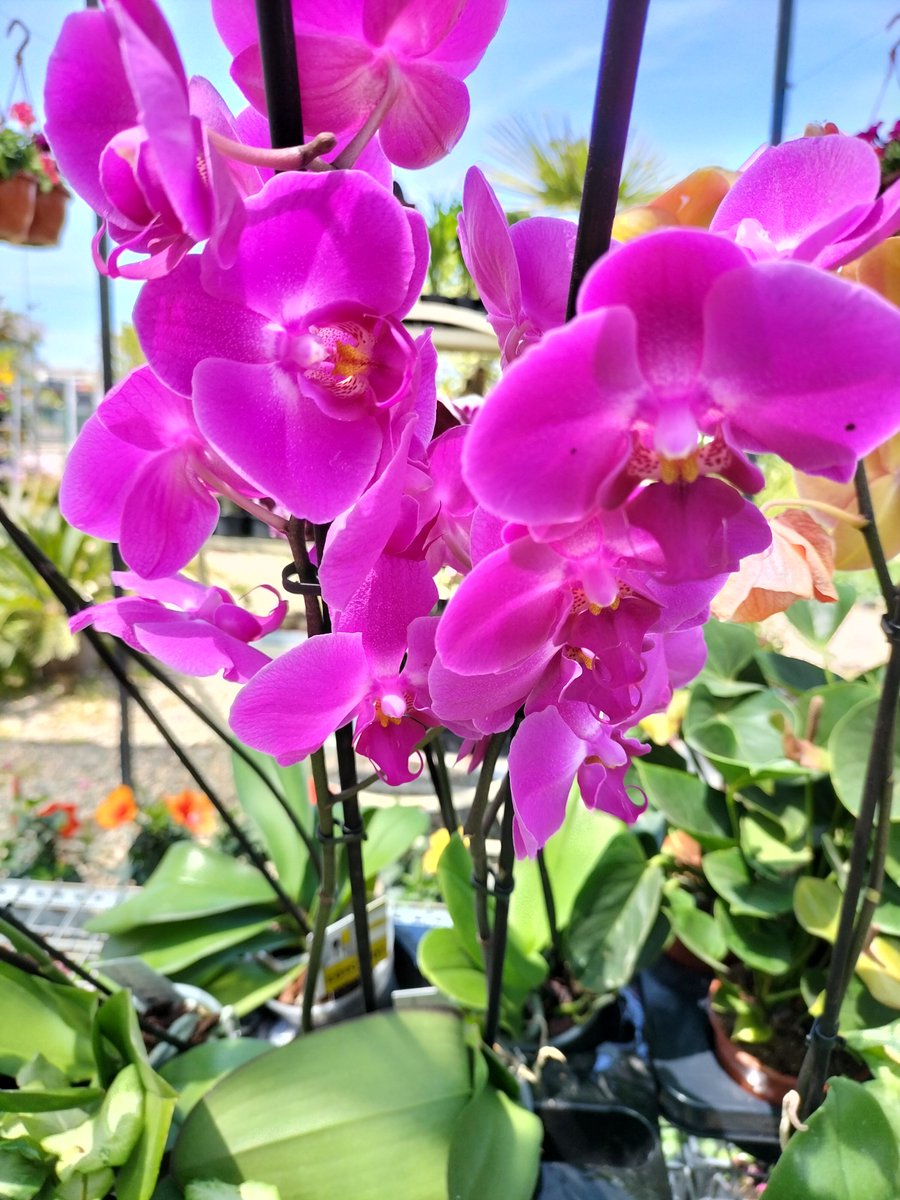 Bütün annelerin ,anneler günü kutlu olsun