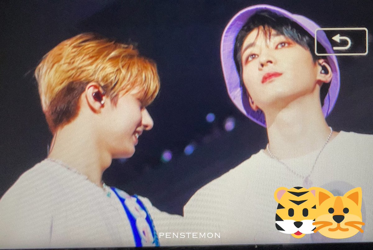 Penstemon96's tweet photo. 220507 HANABI preview

🐱🦊

#SEVENTEEN   ⁠⁠ #세븐틴   ⁠ #준 #준휘 #문준휘 #文俊辉 #JUN #ジュン #원우　#WONWOO 
@pledis_17 https://t.co/HKiPlepMFi