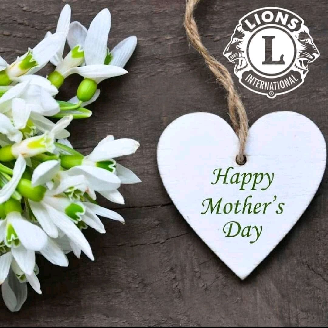 bhlions's tweet image. 