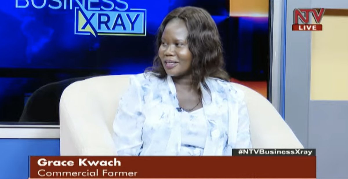 ntvuganda's tweet photo. I love to support to my family and as a banker, I wasn't contributing much apart from my looks. I used to look corporate but my pocket was dry. - Grace Kwach, Commercial farmer #NTVBusinessXray https://t.co/R7B7pUnCcK