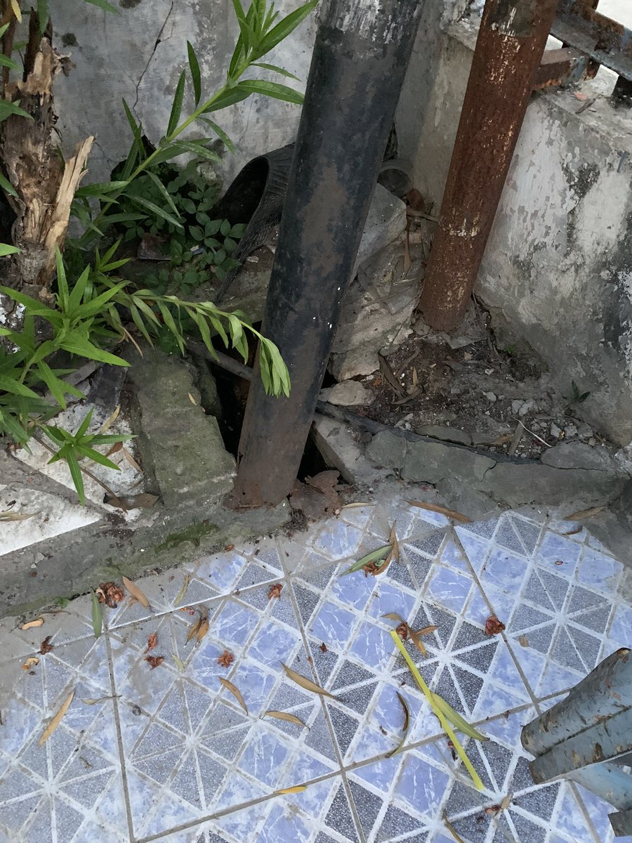 boimroot's tweet photo. Tolong respon cepatnya kalau tidak bakal merusak kabel listrik warga,karena tiang tua milik telkom @TelkomIndonesia @TelkomSolution @pln_123 https://t.co/cWE2WOEU0W