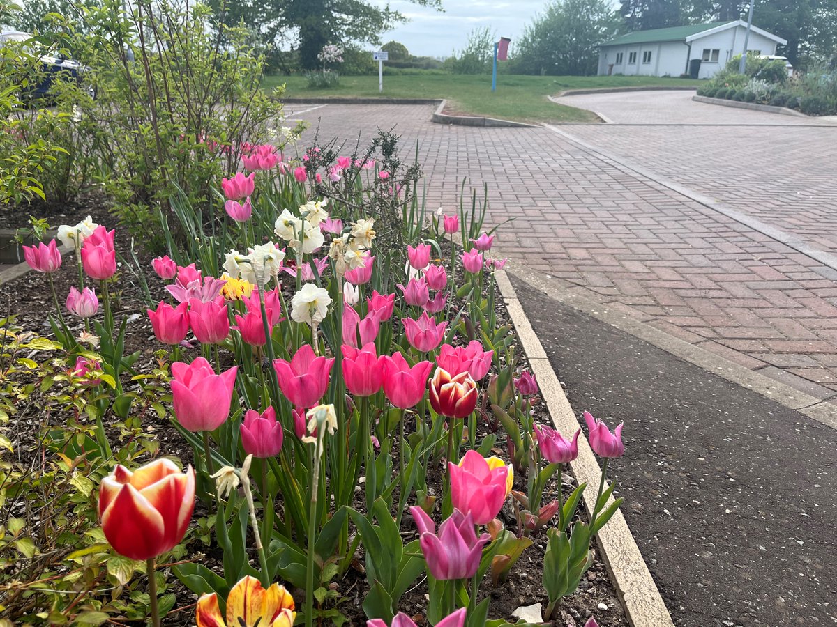 Norfolk_Hospice's tweet photo. #TulipsForTapping may now be over but our tulips at the Hospice are still looking as beautiful as ever! Thank you to Belmont Nurseries who donated the bulbs & our volunteer gardeners.
We will be announcing our grand total tomorrow - can you guess how much was raised? 🌷 https://t.co/XgOEYggk5U