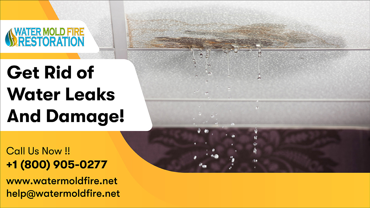 When water damages your home or business, the damage it causes will only continue to escalate. Contact Water Mold Fire to check for water leaks and damage
Call:- 800-905-0277
Mail:- help@watermoldfire.net
Visit:- pos.li/2ia7vo
#waterleak #waterleakage #leakdetection