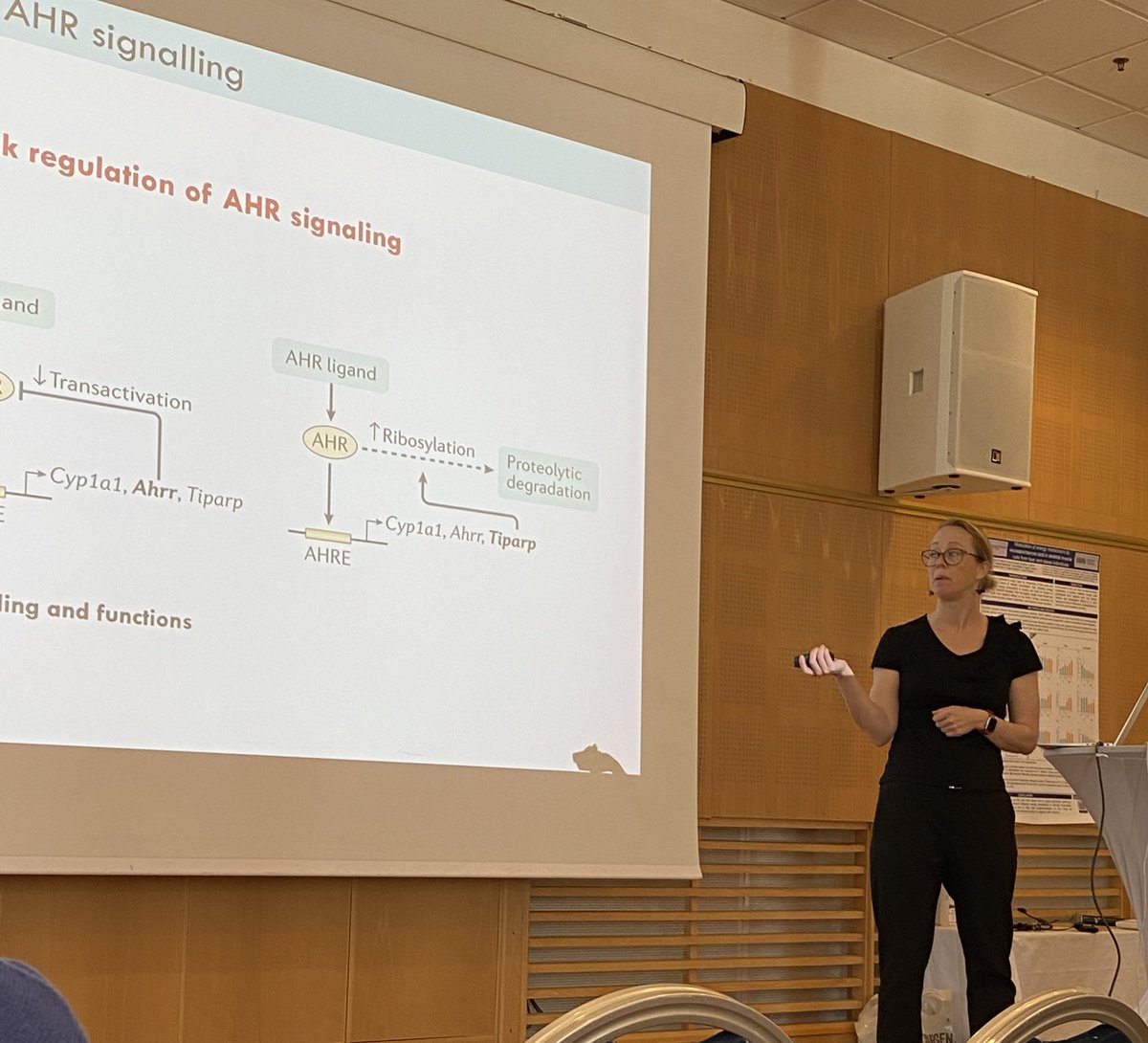 Emma Wincent from #immsystox <a href="/karolinskainst/">Karolinska Institutet</a> gave a great talk on #cyps role in #ahr signaling in intestinal homeostasis. Fascinating! #nsft <a href="/NutritionUiO/">Ernæringsvitenskap ved Det medisinske fakultet,UiO</a>