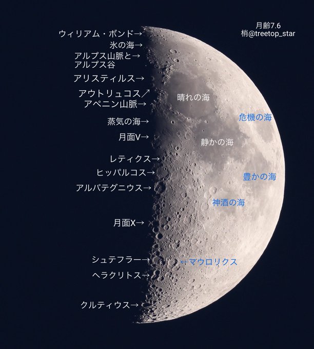 月面vのtwitterイラスト検索結果