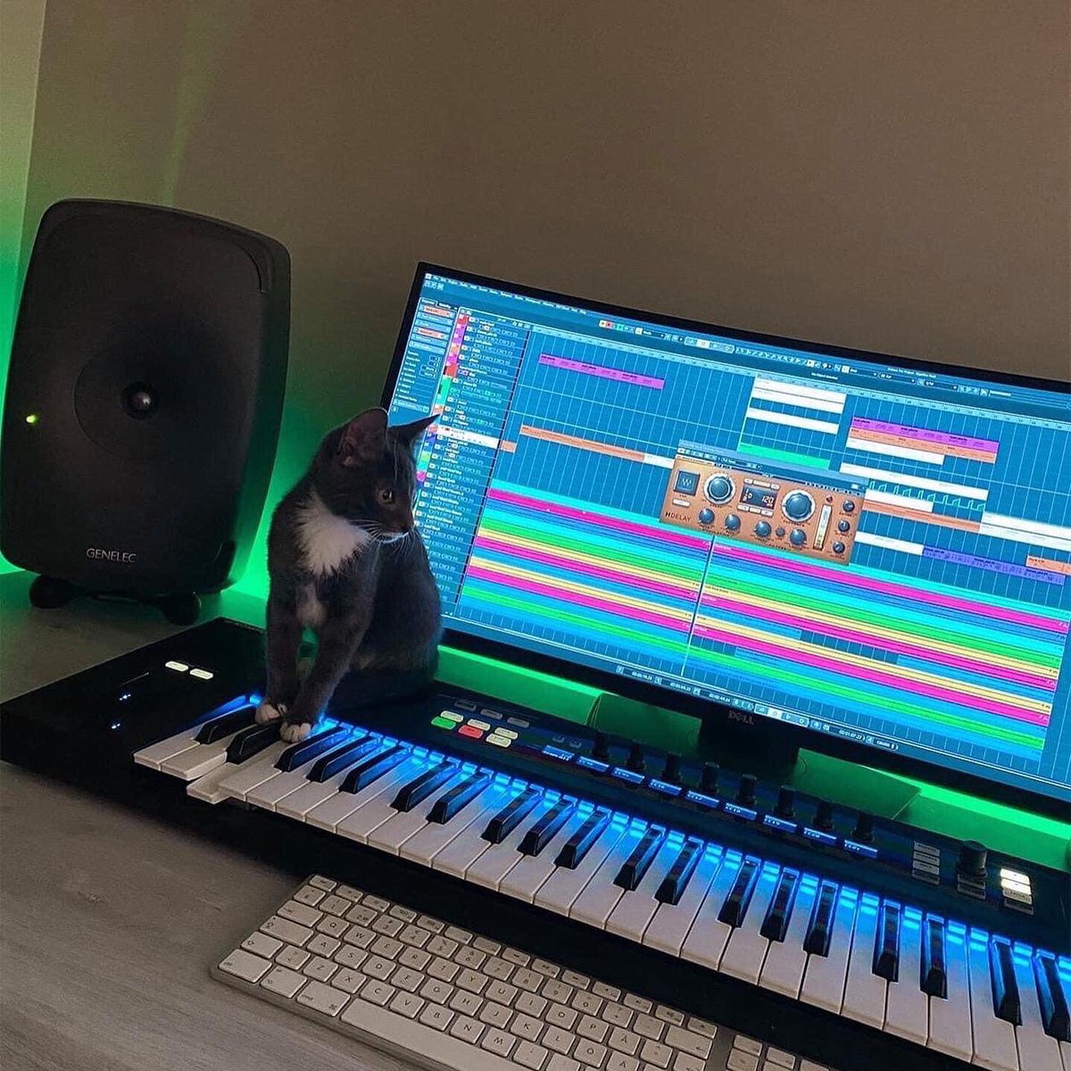 Making music &amp; hoping for better times. Don’t forget donating to Ukraine if you can! 🇺🇦🙏