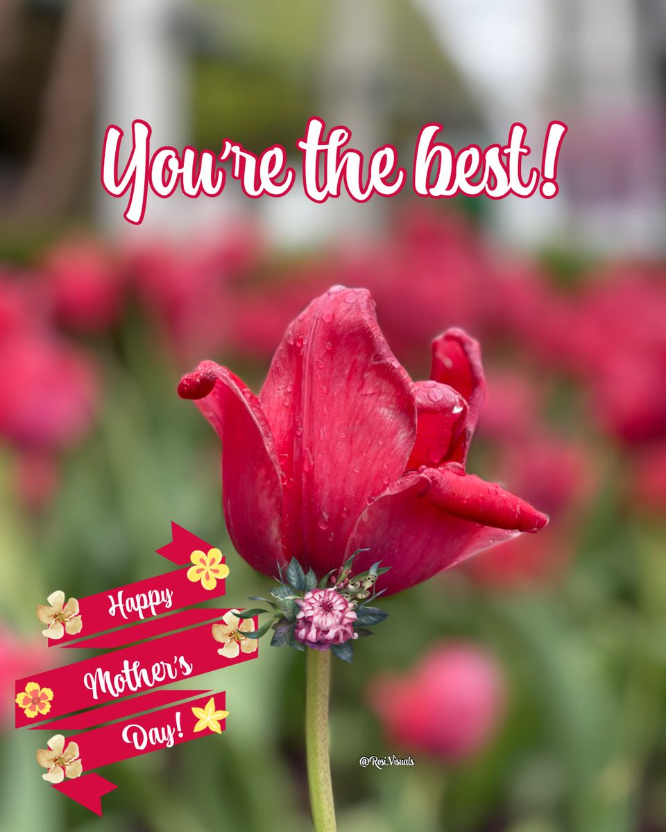 Art_of_Chi's tweet photo. Happy Mother's Day!! https://t.co/dhsNx6ejhY