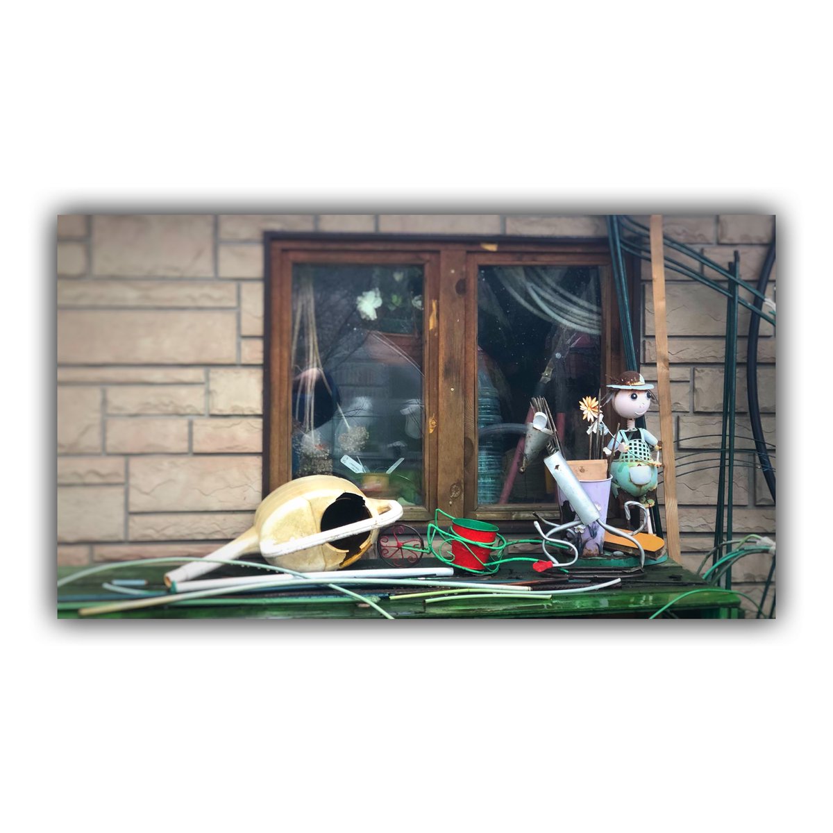 Yes No Ved tweet media