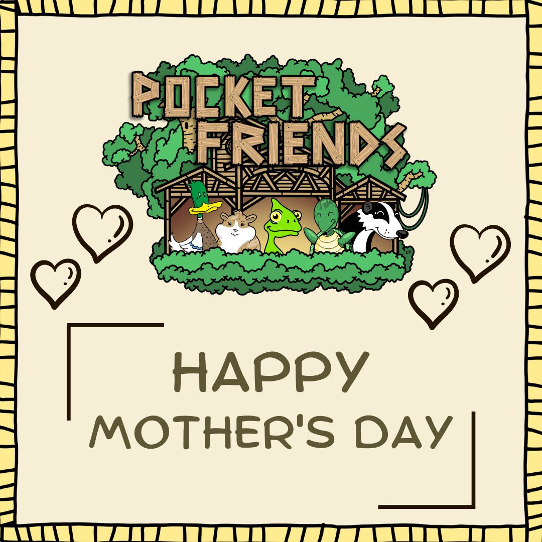 Pocket Friends tweet media