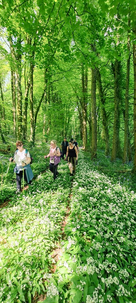 CTywydd's tweet photo. Another wonderful day leading another walk for @visitthevale #10daysinmay Fabulous walk, lovely people & great talks from Dr Karen Pierce at Tinkinswood burial chamber and Chris Flynn at Dyffryn Gardens..and lots of wild garlic again! #ValeOfGlamorgan #wildgarlicpesto https://t.co/UcJNKYafT7