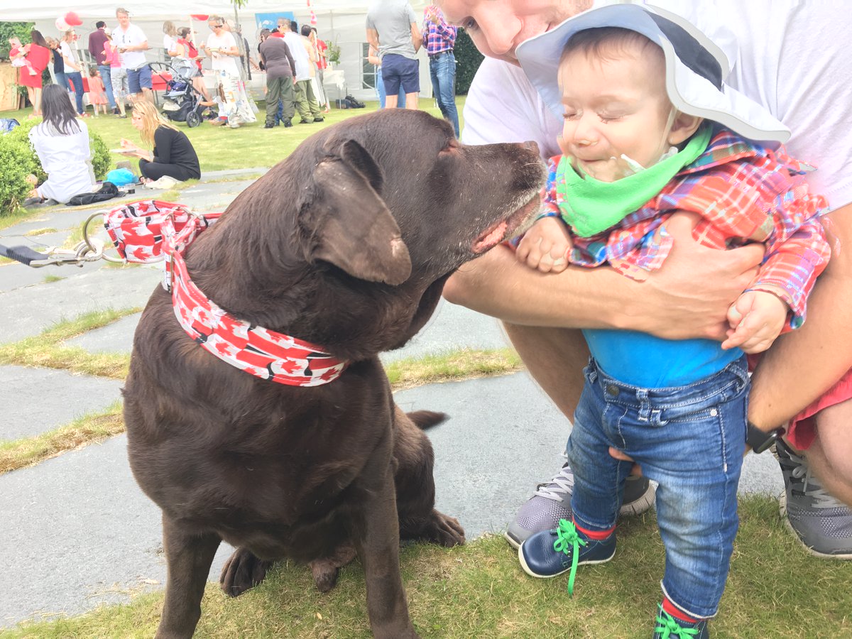 diplomat_dog's tweet photo. I remember all the fun I had as a Diplodog. It was lovely to see so many people and share my love. #RIPColt https://t.co/nQ4VH2ChaP