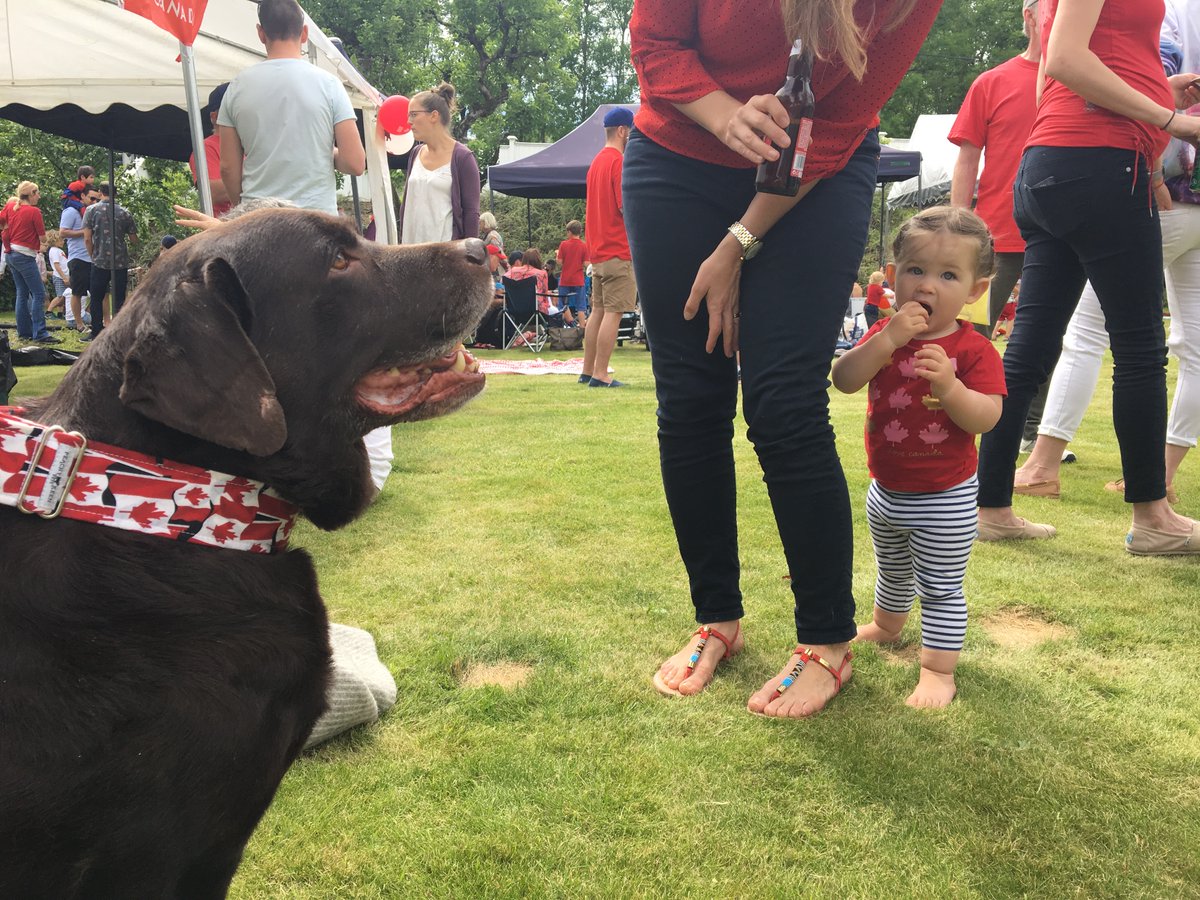 diplomat_dog's tweet photo. I remember all the fun I had as a Diplodog. It was lovely to see so many people and share my love. #RIPColt https://t.co/nQ4VH2ChaP