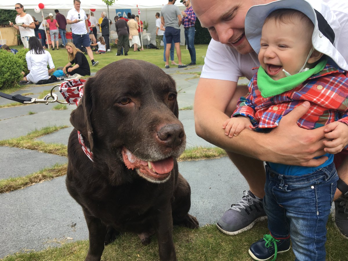 diplomat_dog's tweet photo. I remember all the fun I had as a Diplodog. It was lovely to see so many people and share my love. #RIPColt https://t.co/nQ4VH2ChaP