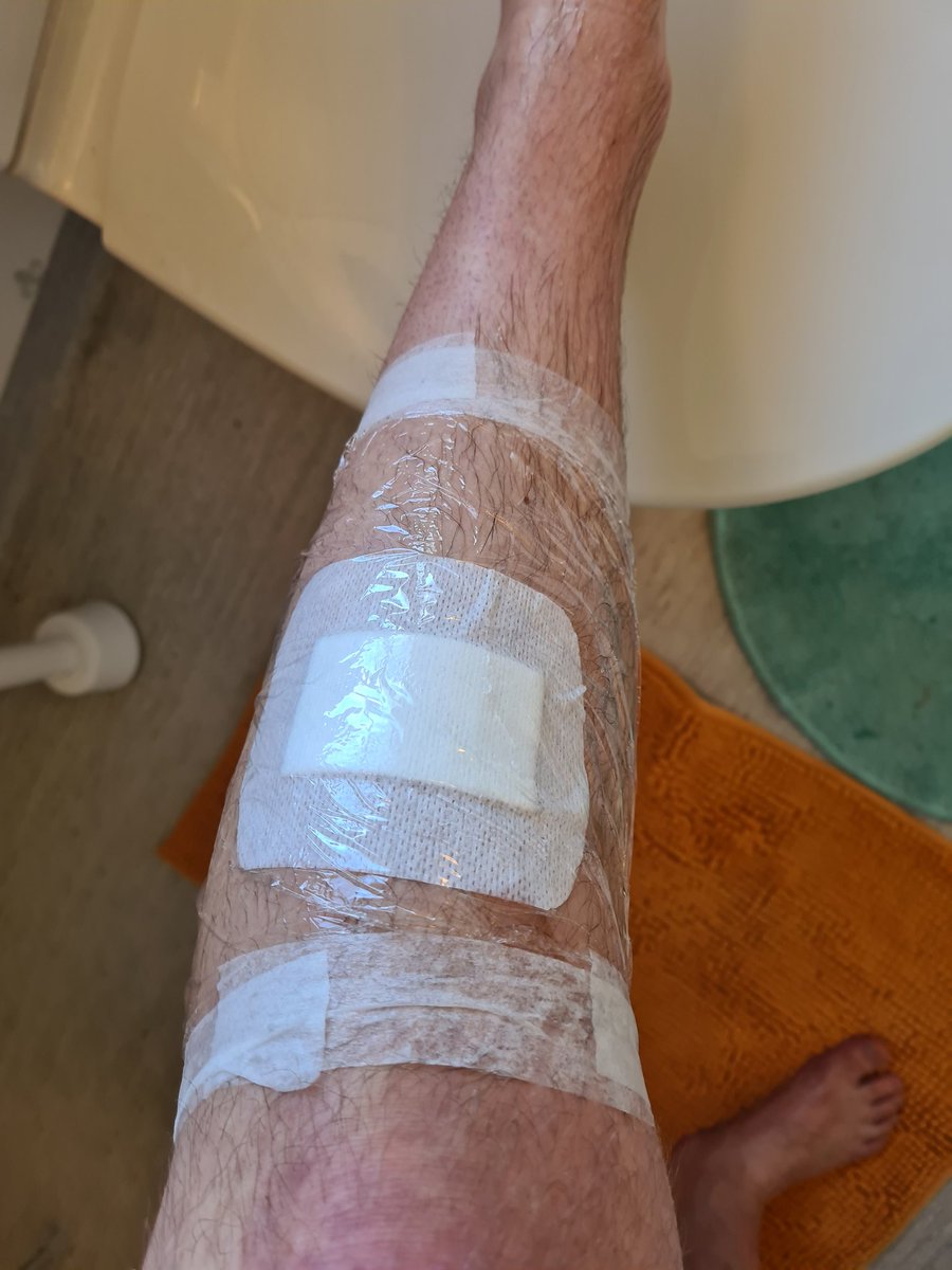 qLimAxzU tweet media