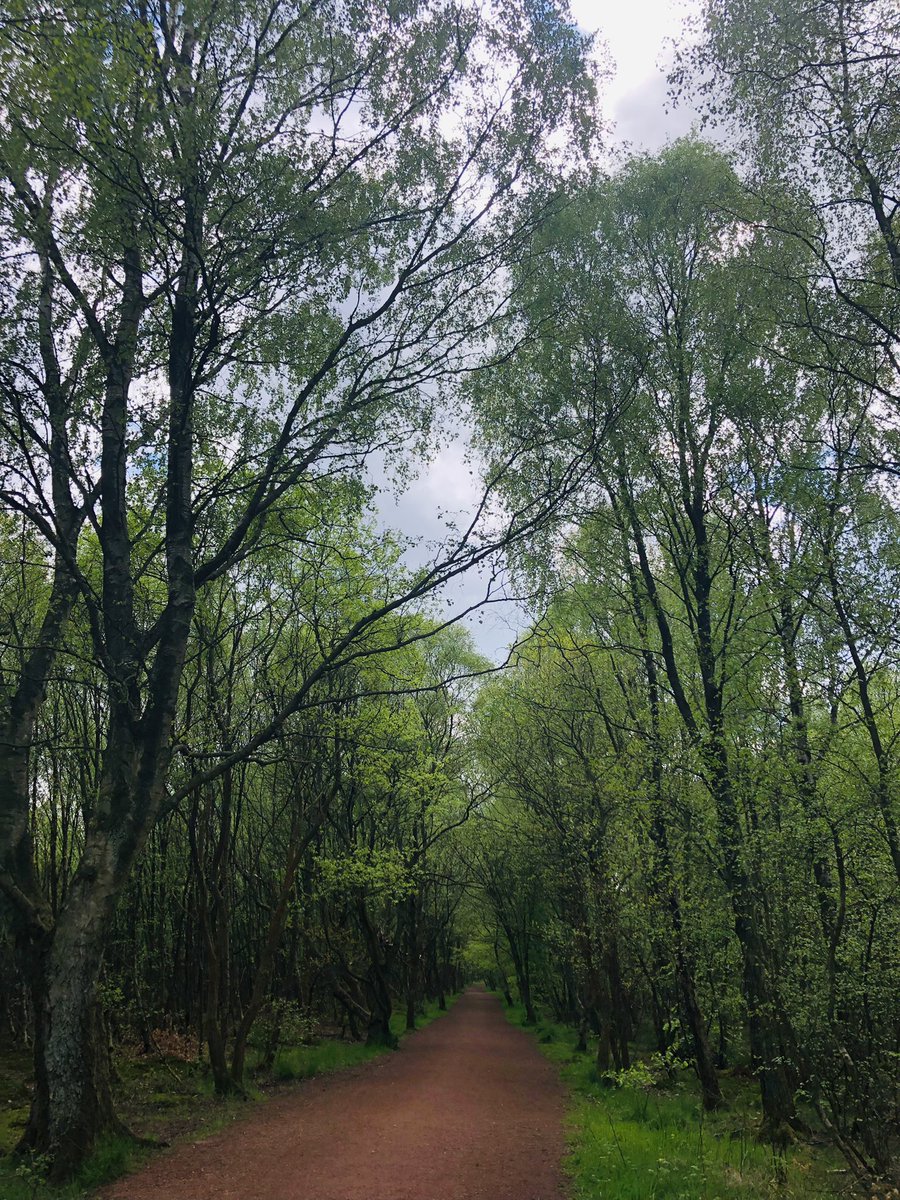 CATSCOTLAND's tweet photo. In this world of craziness you need to find your calm. 🏴󠁧󠁢󠁳󠁣󠁴󠁿🥰#home #Scotland #MPC2022 @MyPeakChallenge @PeakersScotland @SamHeughan https://t.co/MmwjNPxkJE