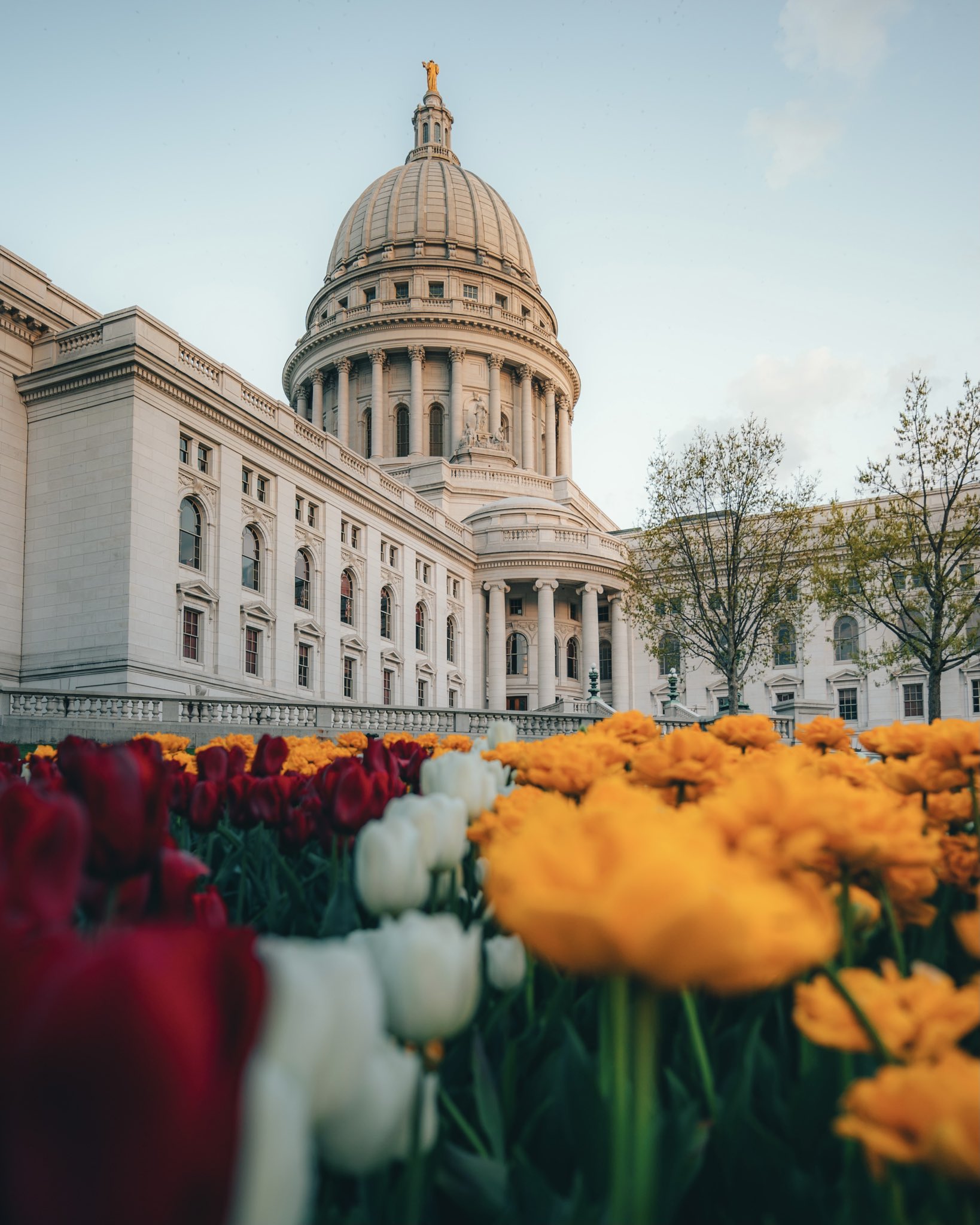 Sam Li on Twitter: "Springtime in Madison 🌹 https://t.co/KGKDsnj8JX ...