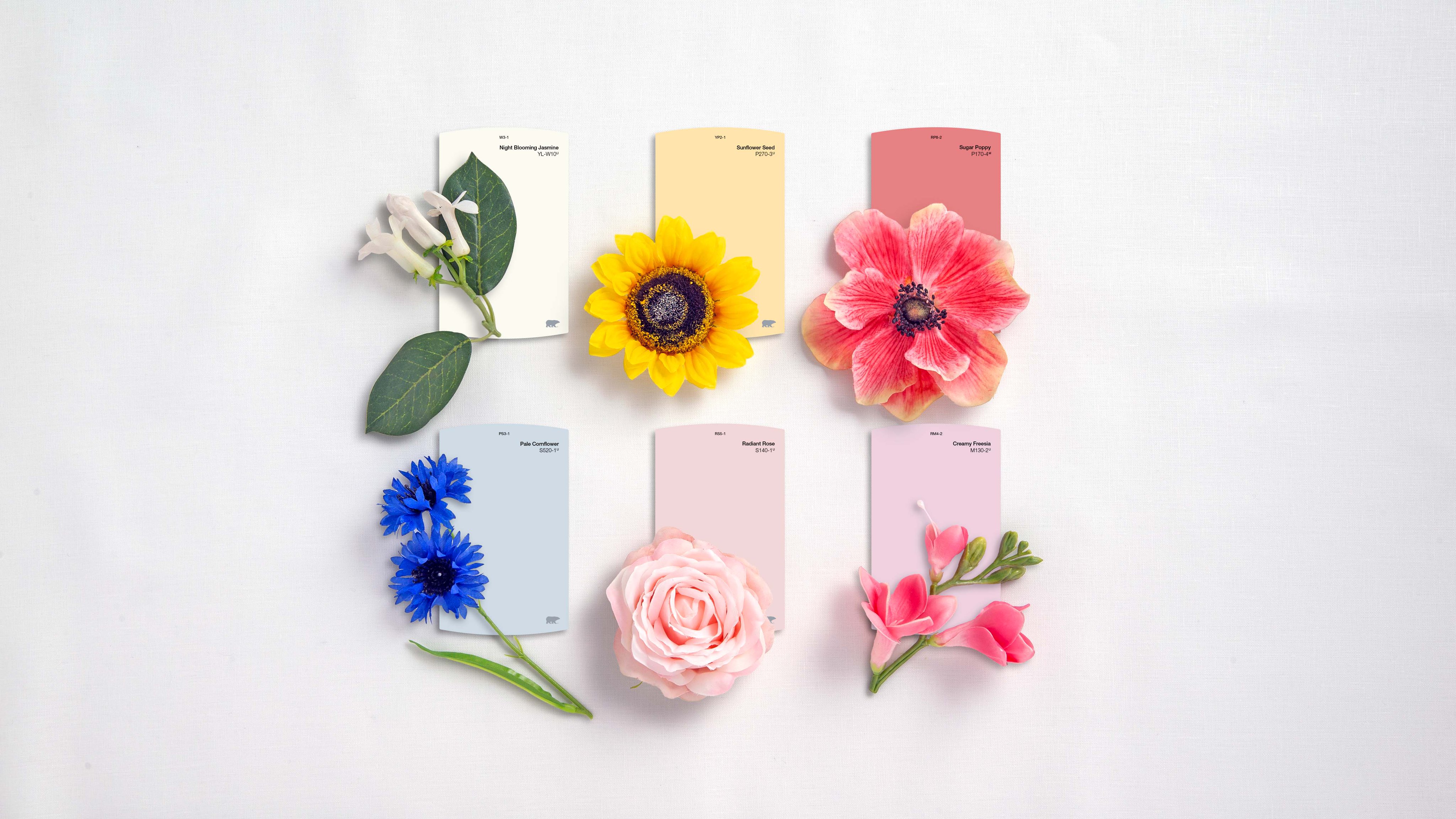 BEHR Paint (@BehrPaint) / Twitter