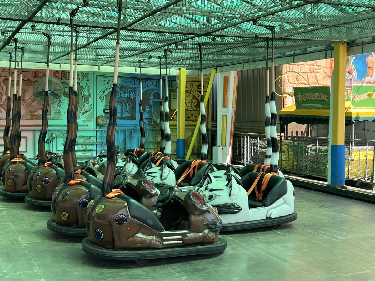 DoWildwoodNJ's tweet photo. This ride gives kids free rein to drive like crazy in a game of cat and mouse!

#DOOWW #wildwoodboardwalk #wildwoodsboardwalk #catandmouse #bumpercars #moresypier #rwildwoodrides #wwnj https://t.co/lIvlXvFIBp