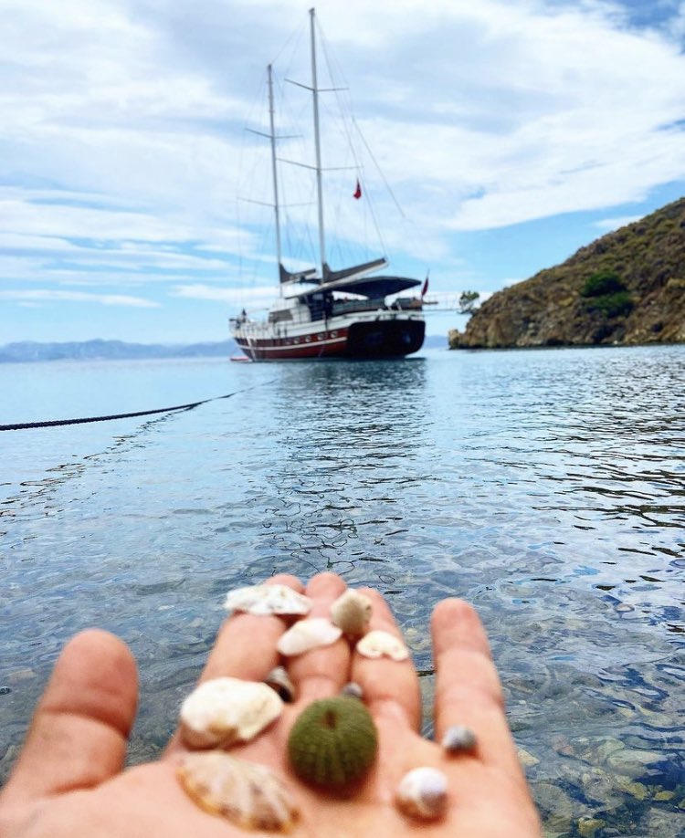 babasukrums's tweet photo. Blue voyage..

For those who want to embrace the sea.

Mavi yolculuk..

Denizi kucaklamak isteyenler için. https://t.co/eFHxYoMsmi