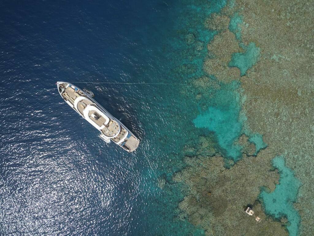 chefsimms's tweet photo. Office for the week! Can’t complain…
#diving #scuba #redsea #grandseaserpant #holiday https://t.co/VTgeL2woYA https://t.co/SXunwmBVQN