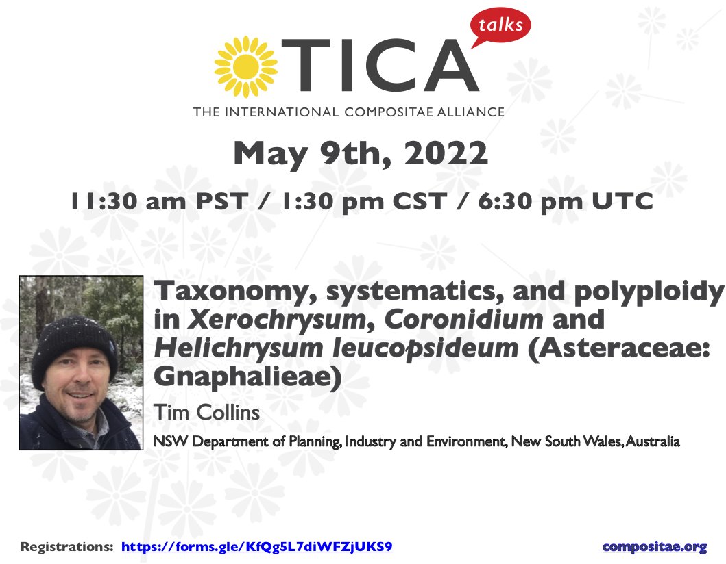 TICATalks's tweet photo. Happy Sunday Compositae folks! Join us for TICA Talks tomorrow to learn everything about Australian Gnaphalieae with Tim Collins. There still time to register! https://t.co/o0adLiwzol
