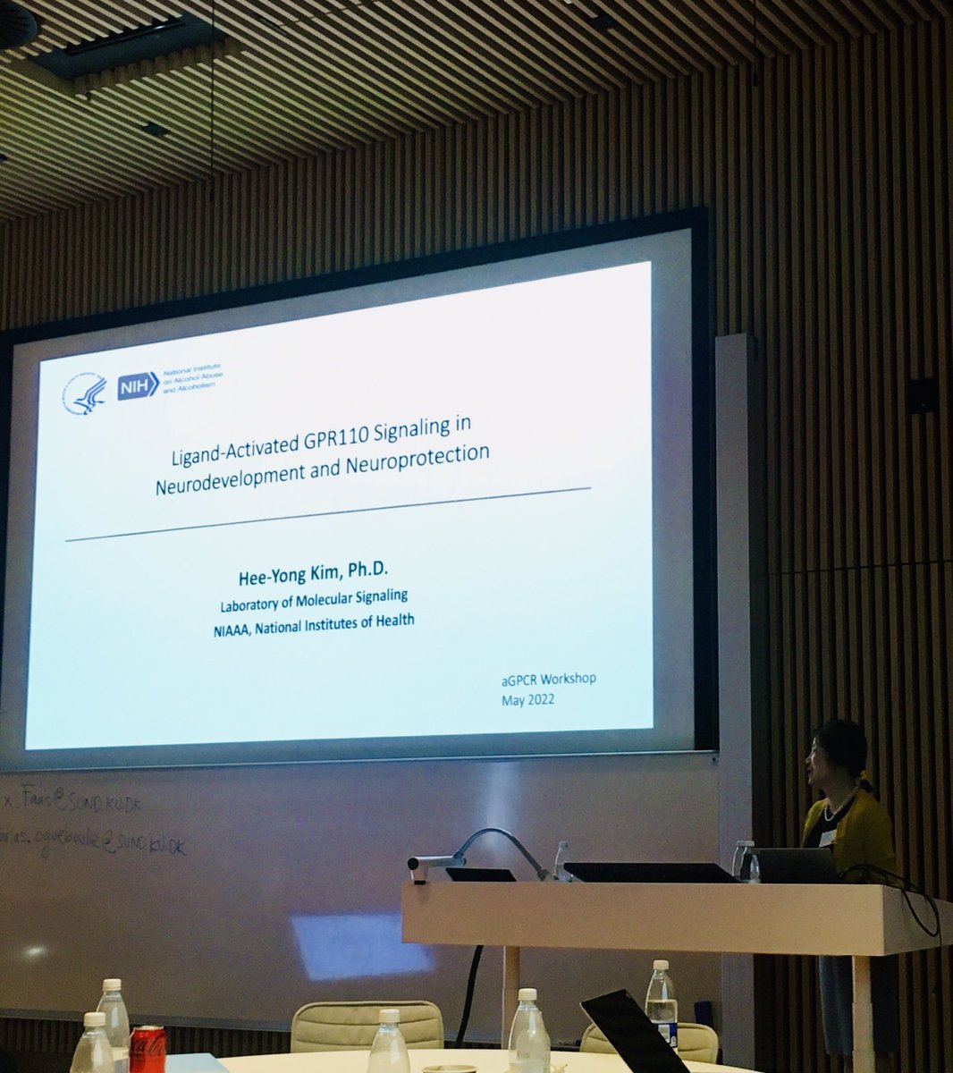 Dr. Hee-Yong Kim starting the last session of this workshop with her work on GPR110 signaling in neurodevelopment and neuroprotection. Very fascinating! #adhesionGPCR2022