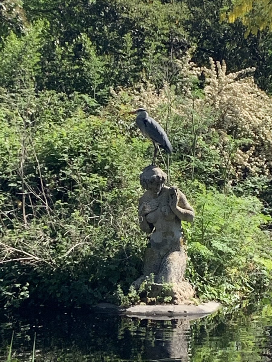 Moira Sarsfield tweet media