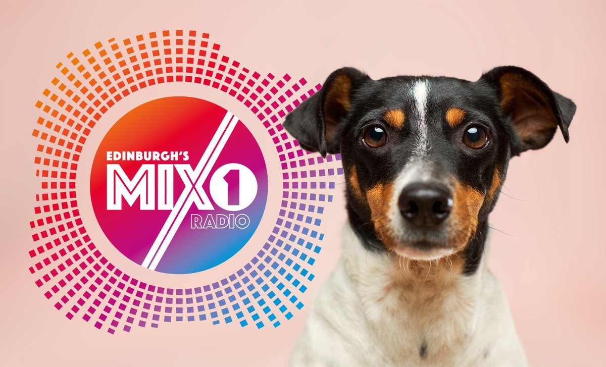 Our new Sunday evening show starts tonight, Andy Forbes 7-9pm mix1radio.co.uk and on your 'Alexa' smart speaker :-)
facebook.com/Mix1RadioEH3/p…