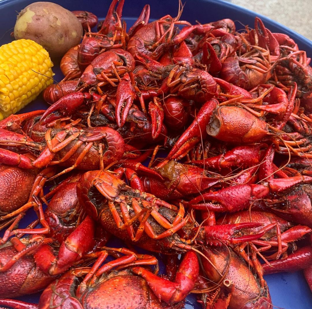 Lee Ann Womack tweet media