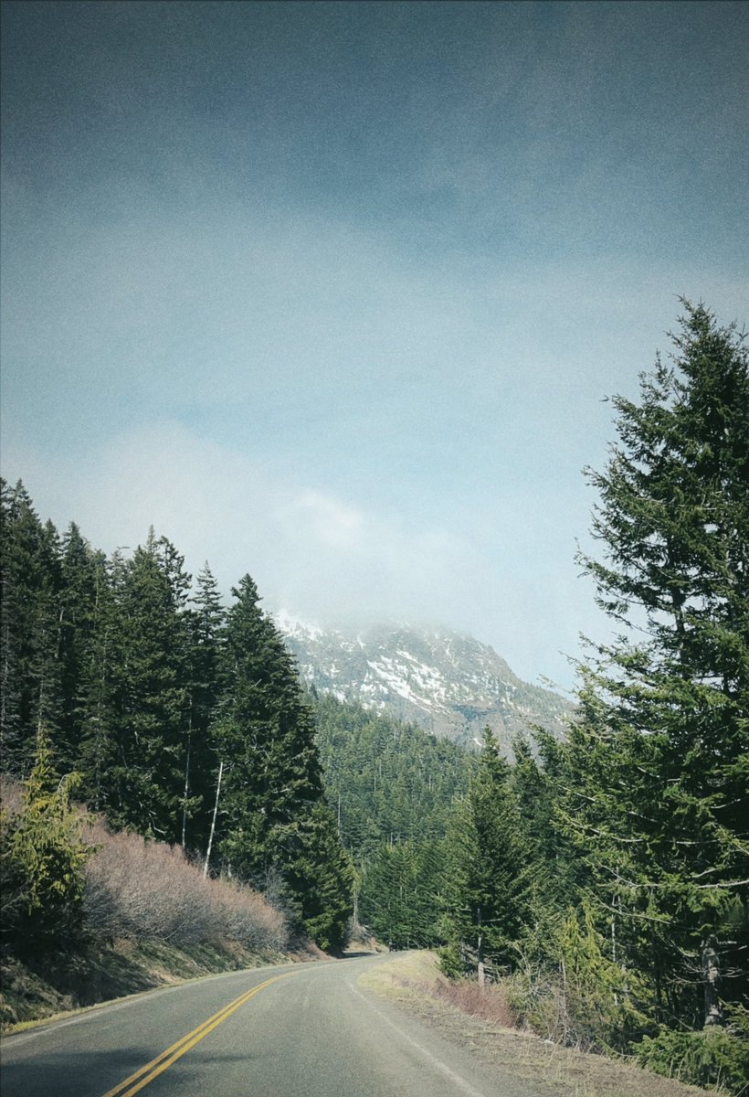 adam_quinto's tweet photo. Hurricane Ridge- Olympic National Park https://t.co/zbCEyffEK0
