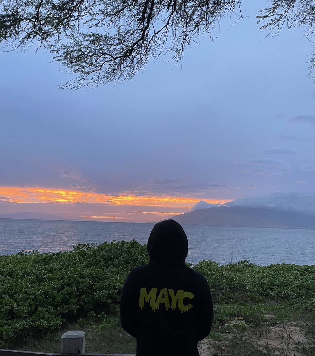 FFVV1211's tweet photo. 2 different sundowns, 2 different hoodies but always keeping it BAYC🍌

@BoredApeYC https://t.co/sqPNvLR68j