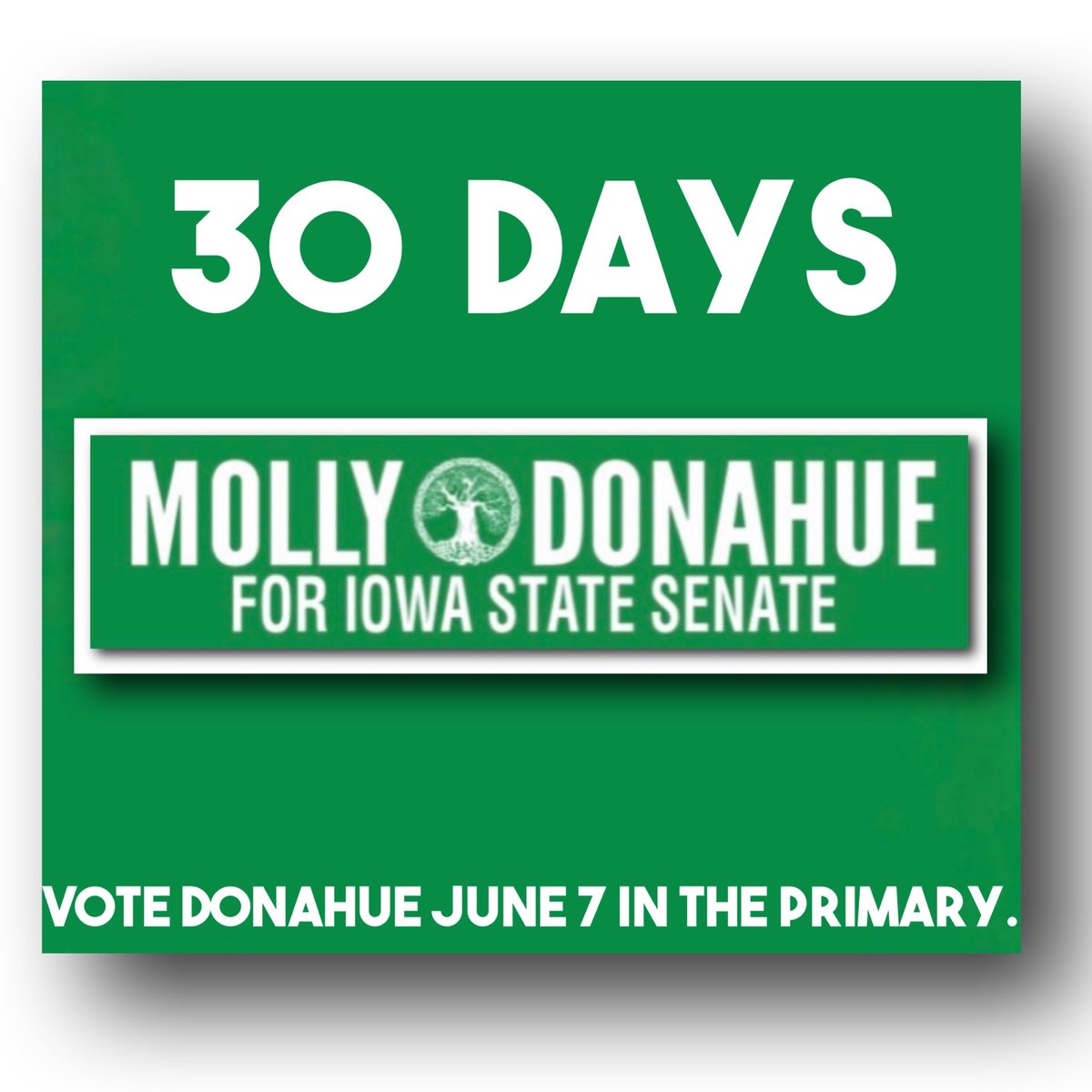 MDonahueforIA's tweet photo. 30 days!
What’s your plan to vote in the primary? #VoteDonahue #VoteExperience #VoteYourNeighbor #VoteForYourCommunity #Vote4RealRepresentation https://t.co/gt2v5gaBoQ