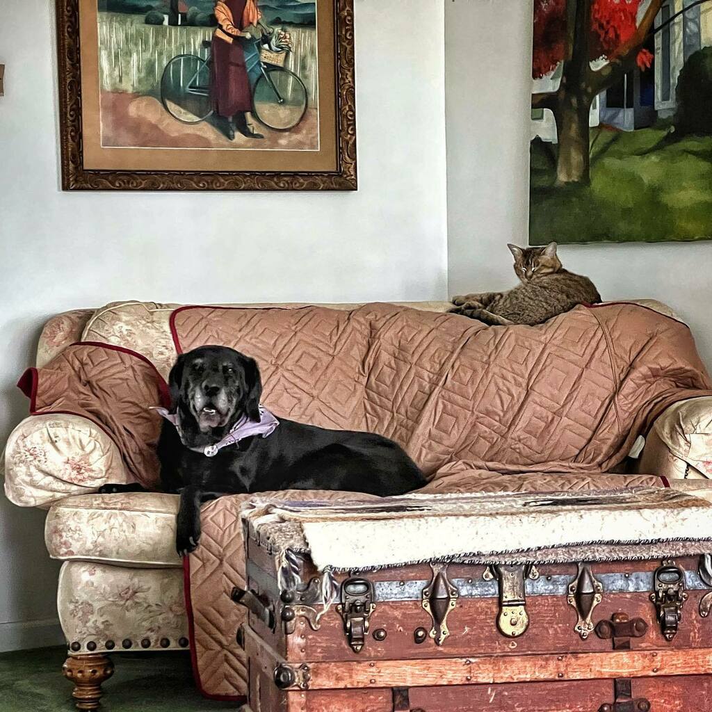 alexzorch's tweet photo. The staff in my studio arenโt offering much in the way of cleaning assistance this morning. #nohelp #nohelpwhatsoever #guessilldoitmyself https://t.co/v2zKYSGyCb https://t.co/CGlix5Z4hj
