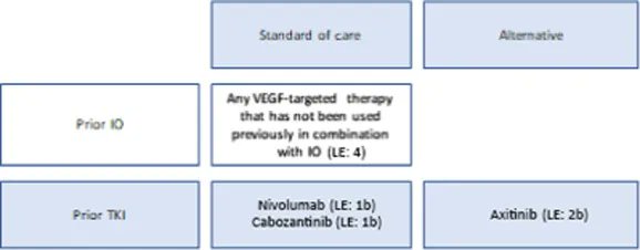 EUplatinum's tweet photo. Most Read Articles in the Last 30 Days

European Association of Urology Guidelines on Renal Cell Carcinoma: The 2022 Update

https://t.co/NHQl23lgPa https://t.co/bGTjPeqBAq