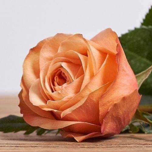 SheikhN74933854's tweet photo. https://t.co/V986PPhXhq