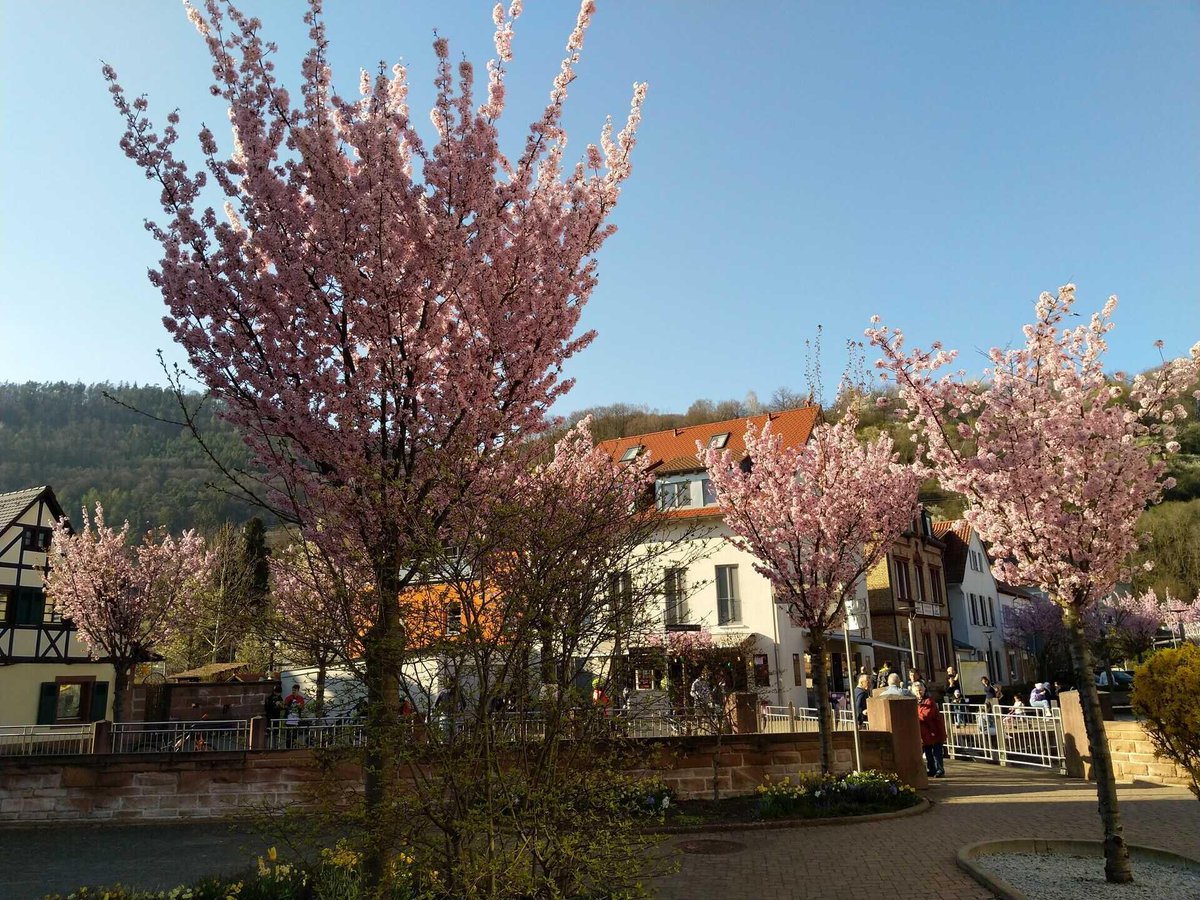 TheLemonRoute's tweet photo. Kaiserslautern, Germany 🇩🇪
#photography #vacation #photo #Germany https://t.co/BltMqKljgn