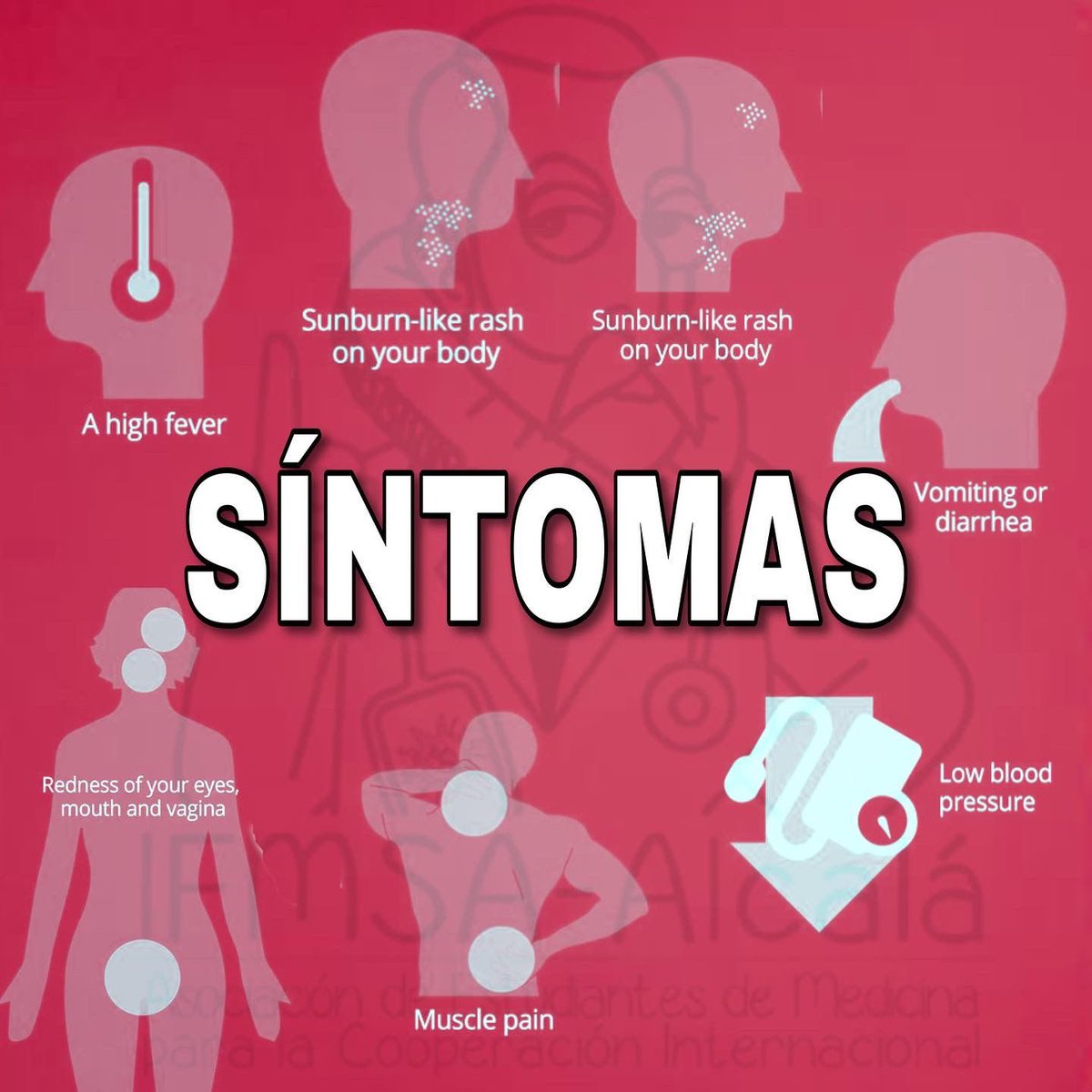 IFMSAUAH's tweet photo. ▶️ SD DEL SHOCK TÓXICO ✨
Os traemos un post sobre esta afectación multiorgánica producida por la bacteria, Staphylococcus aureus 🦠
Esperemos que os guste este cachito de información sobre este cuadro raro pero de pronóstico grave. 🗣 https://t.co/UCJx1mnMHA