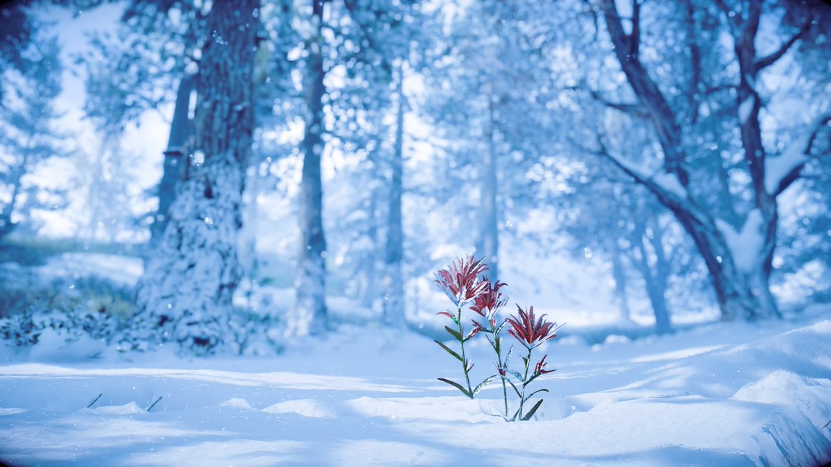 Haven't been able to play Forbidden West for a while 😩 so here's some of my favorites from Zero Dawn for now 🥰📸

#BeyondTheHorizon #PS5Share #VGPUnite #VPCONTEXT #WorldofVP #HorizonZeroDawn #ThePhotoMode #LandofVP