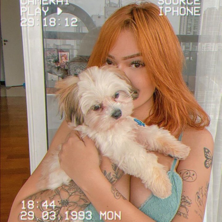 thinkertailara's tweet photo. pet mothers.🐶♥️ https://t.co/sPWTXk6XMJ