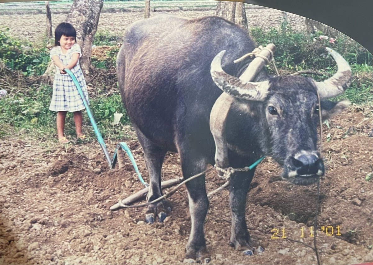 Angelina 🦋 tweet media