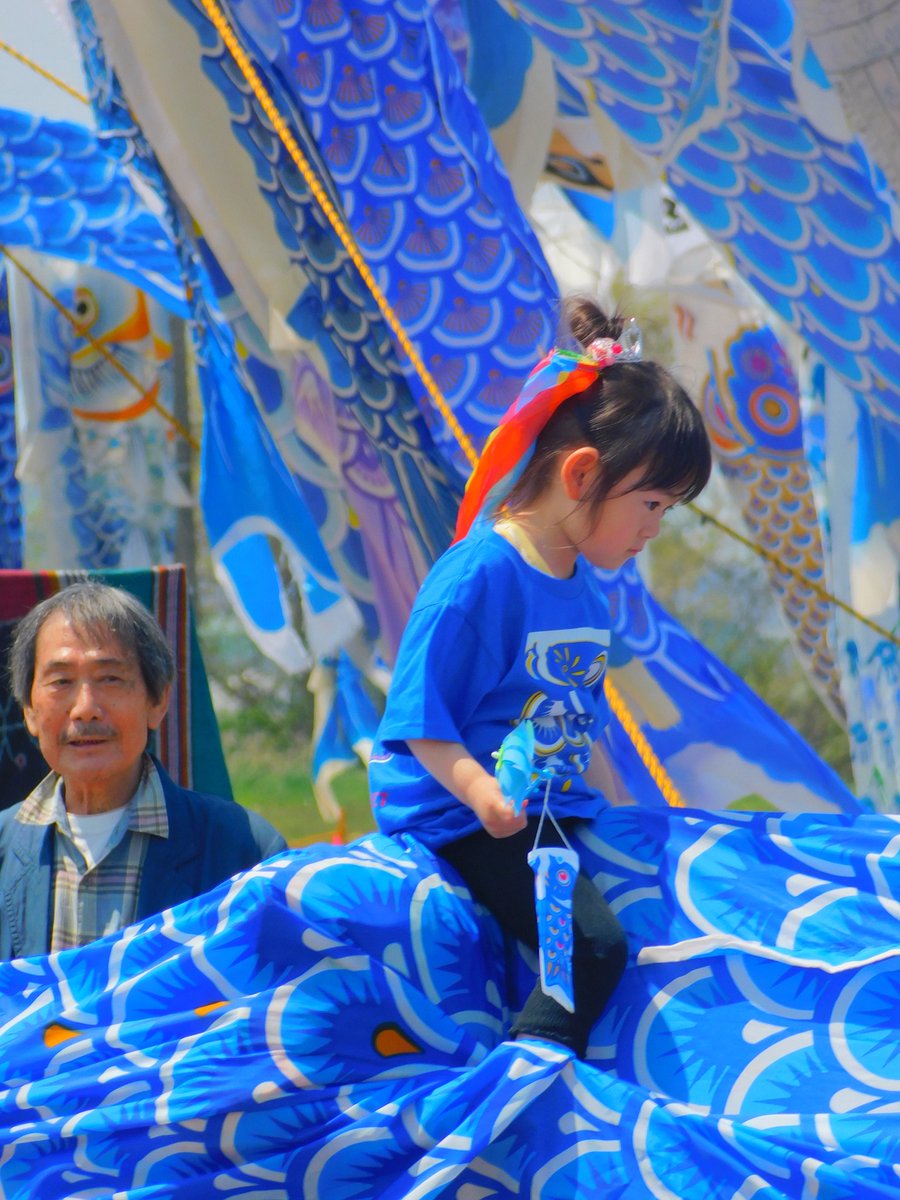 Masaki_Hoshi03's tweet photo. #青い鯉のぼりプロジェクト
#WindVoice
#東松島市 https://t.co/OeWrUraJ10