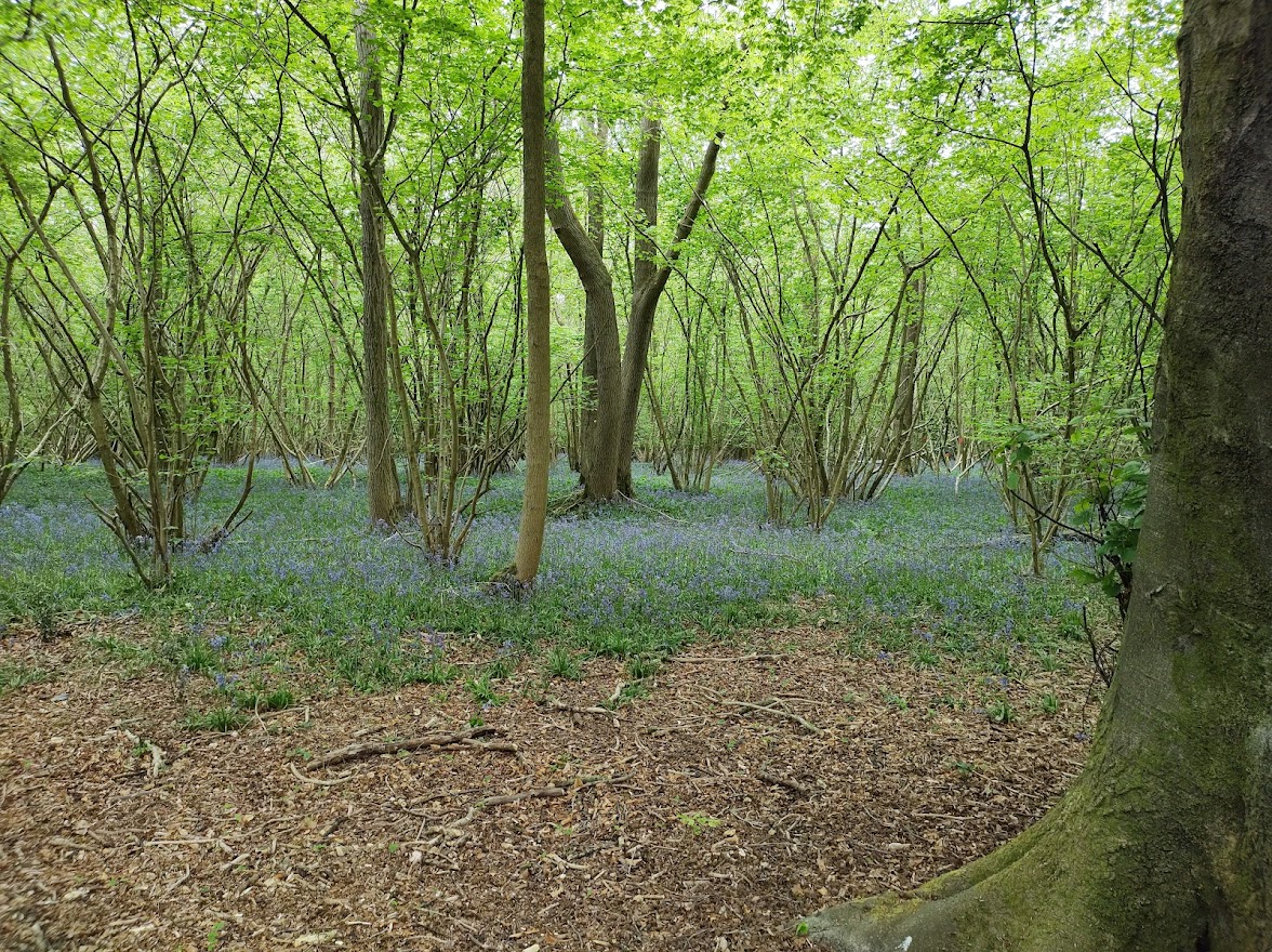 The_Risings's tweet photo. Holly has been working us hard so the weekly message is out well ahead of schedule: Some great news re the woods, Monday Meeting tomorrow, more podcasts and the next, next event!
https://t.co/MJ5cFdptYC
Much love all
#larp #larping #lapruk #lrp #liveactionroleplay #larpevent https://t.co/wcBhKHMiOS