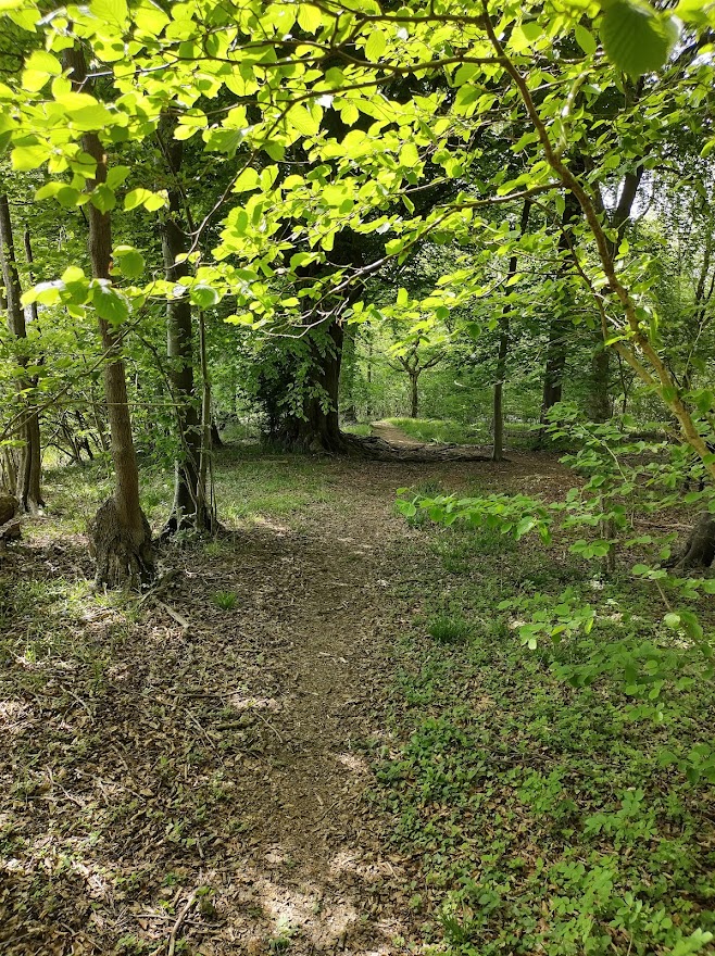 The_Risings's tweet photo. Holly has been working us hard so the weekly message is out well ahead of schedule: Some great news re the woods, Monday Meeting tomorrow, more podcasts and the next, next event!
https://t.co/MJ5cFdptYC
Much love all
#larp #larping #lapruk #lrp #liveactionroleplay #larpevent https://t.co/wcBhKHMiOS