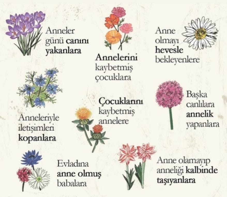 sanfed063's tweet photo. Doğurmuş
Doğurmamış
Doğurduğunu bağrına basmış
Doğurduğunu bağrına bile basamamış
Doğurmadığını bile bağrına basmış
Kendi anne olan
Vicdanı anne olan
Ruhu anne olan
Bütün kocaman yürekli kadınlara
Gidenler nur olsun
Kalanlar sağolsun

Tüm annelerimizin, Anneler gününü kutlu olsun https://t.co/NZ2mr102e3