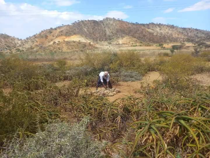 KadirIdris12's tweet photo. The following graves that you will look is innocent people grave that #TPLFTerroristGroup killed in the distract of #Konnaba . https://t.co/WjBGWtYqmi