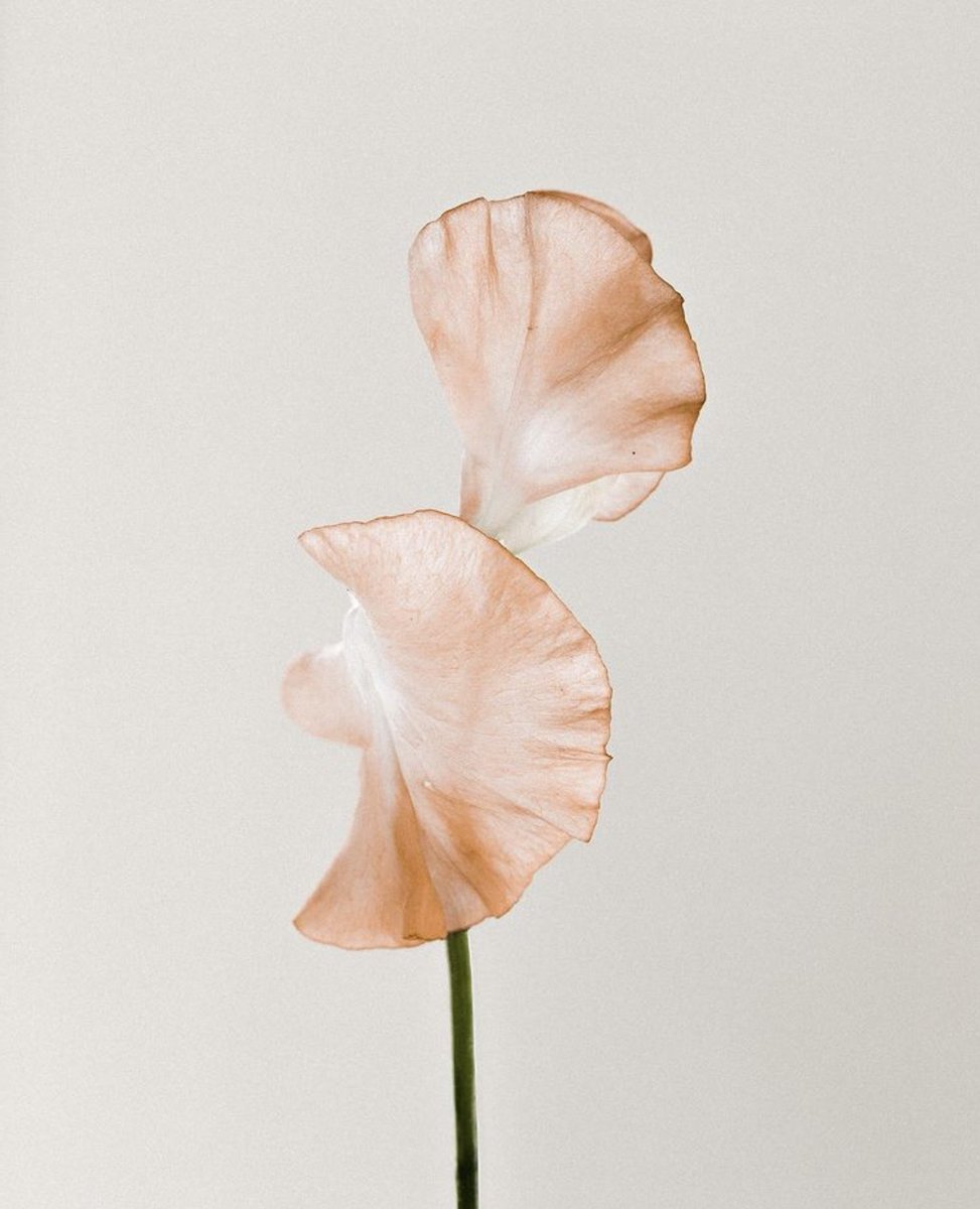 MaisonNoelle's tweet photo. From the beginning you held me close.
You wrapped me in your love
and you shared all you know to be true.
You always believed in me, 
and now I believe in myself.
Because of you.
How lucky I am to have you. 

 - Lisa Buscomb 

Happy #MothersDay 🤍

📷: Floortje Louise https://t.co/dfbgVcWF0r