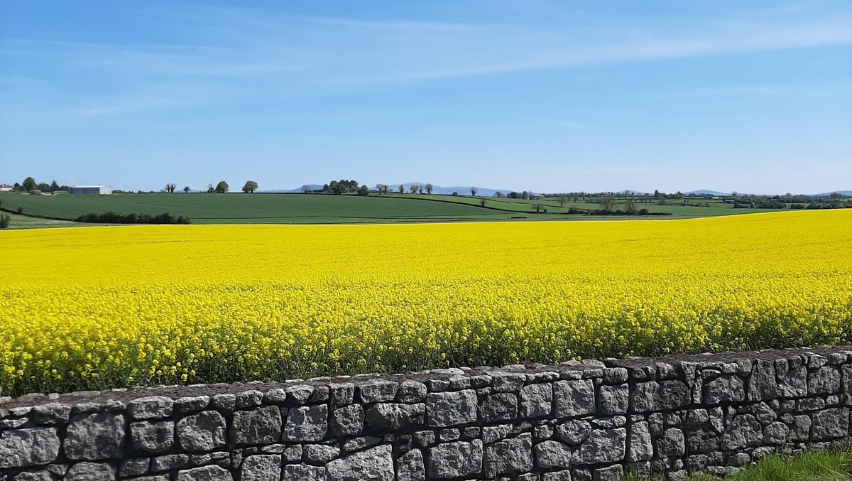 Paddy Doyle tweet media