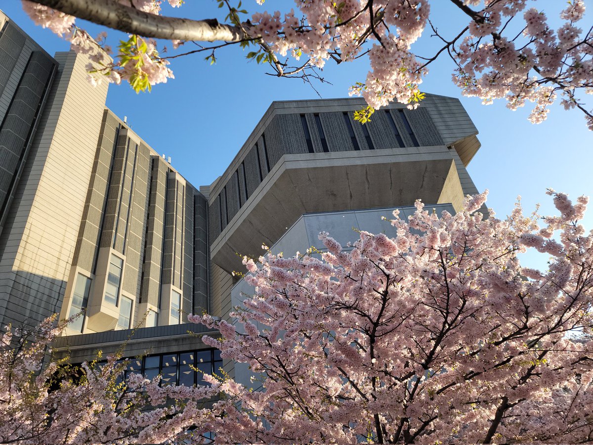 BrindusaB1's tweet photo. #Toronto
#MothersDay
2022 May 08
#UoT / #RobartsLibrary
#Sakura https://t.co/DhkO5PFWrn