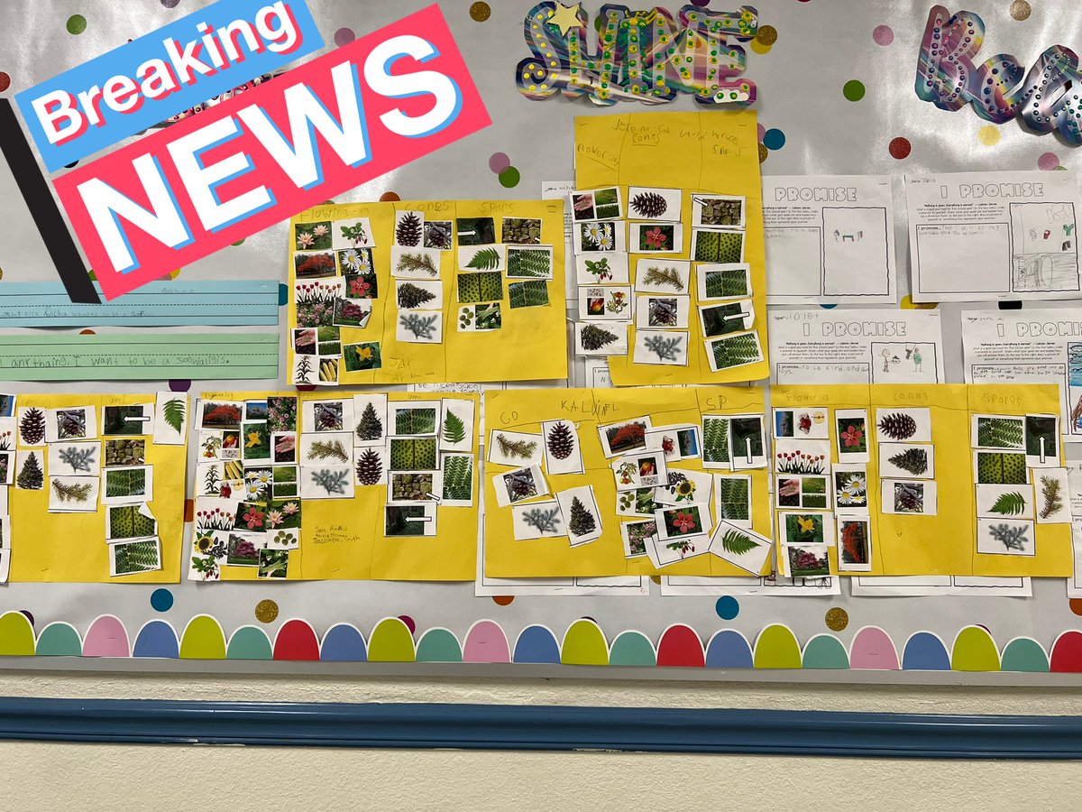 N_outsidethebox's tweet photo. Got to see some of these awesome sorts from our 3rd gr. Ss in the hallway! @megsneu9 @HCPSElemScience @BrowardElem  #flowering #nonflowering https://t.co/gcpMDLtvKx